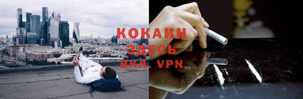 ГАЛЛЮЦИНОГЕННЫЕ ГРИБЫ Сосновка