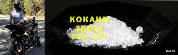 эйфоретик Бородино