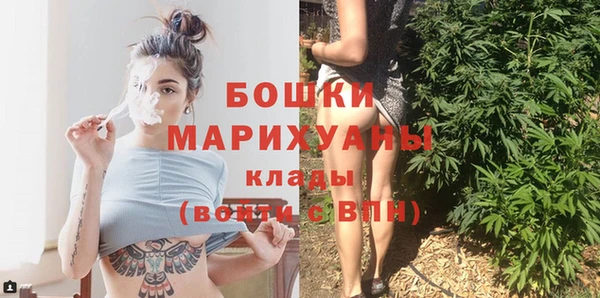эйфоретик Бородино