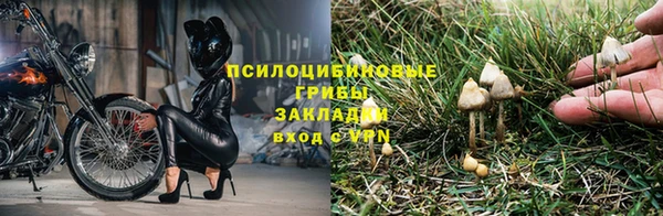 2c-b Верхний Тагил