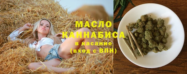 эйфоретик Бородино