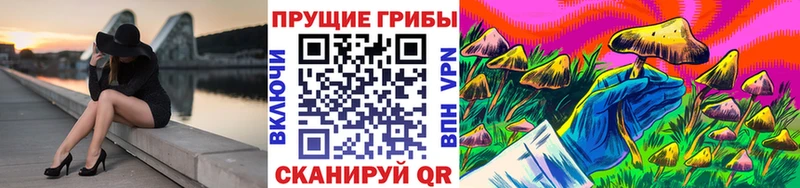 сколько стоит  Суворов  Галлюциногенные грибы ЛСД 