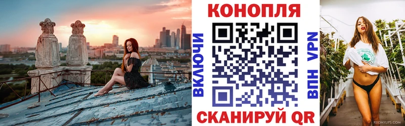 Бошки марихуана планчик  Суворов 